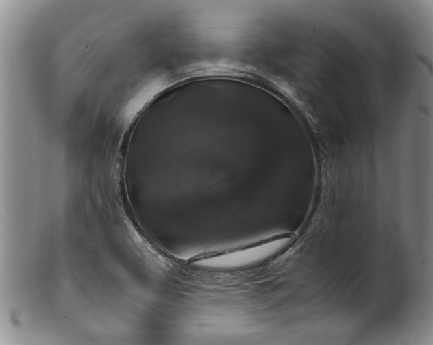 X0000099411463200805231552