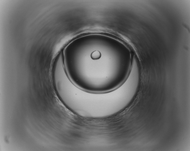 X0000099411464200805231552