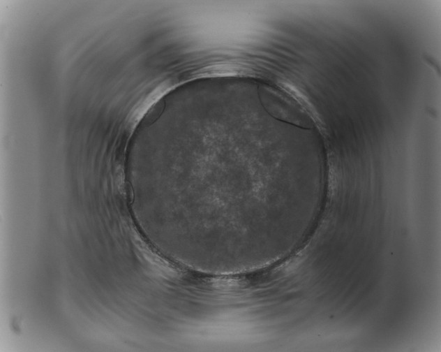 X0000099411465200805231552