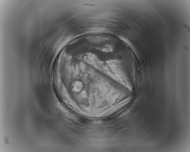 X0000099411467200805231552