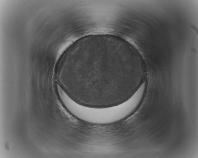 X0000099411469200805231552