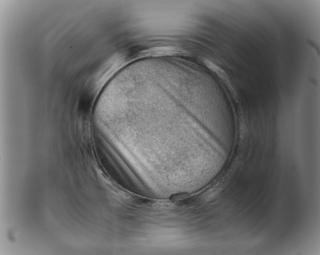 X0000099411473200805231552