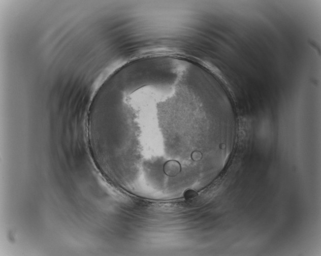 X0000099411474200805231552