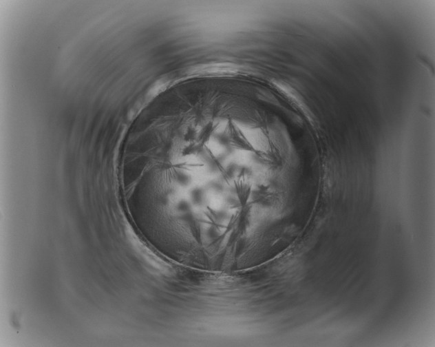 X0000099411475200805231552