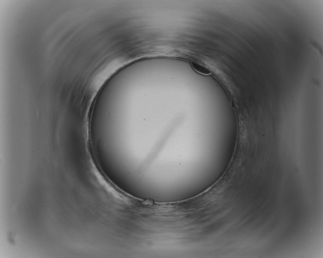 X0000099411479200805231552