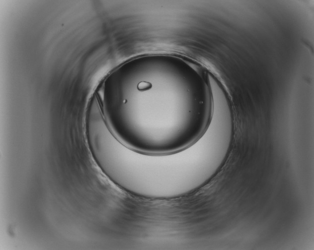 X0000099411480200805231552