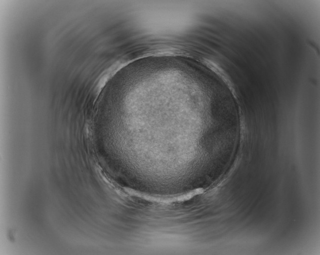 X0000099411481200805231552