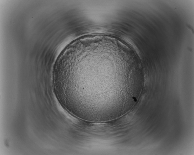 X0000099411483200805231552