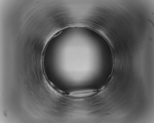 X0000099411484200805231552