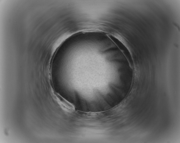 X0000099411485200805231552