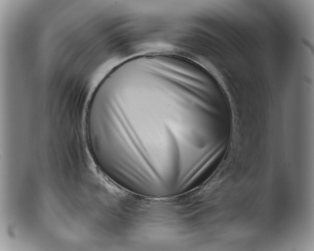 X0000099411488200805231552