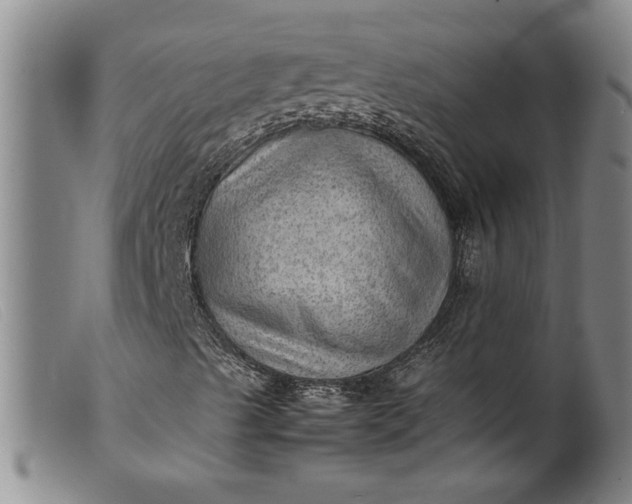 X0000099411489200805231551