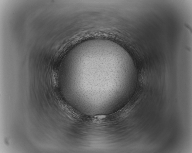 X0000099411490200805231551