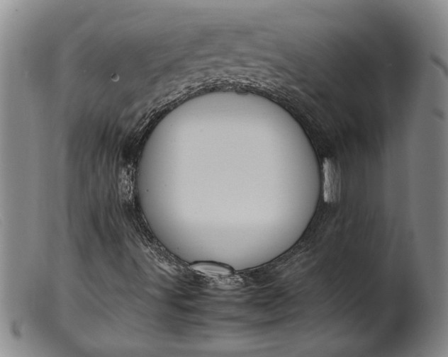 X0000099411491200805231551