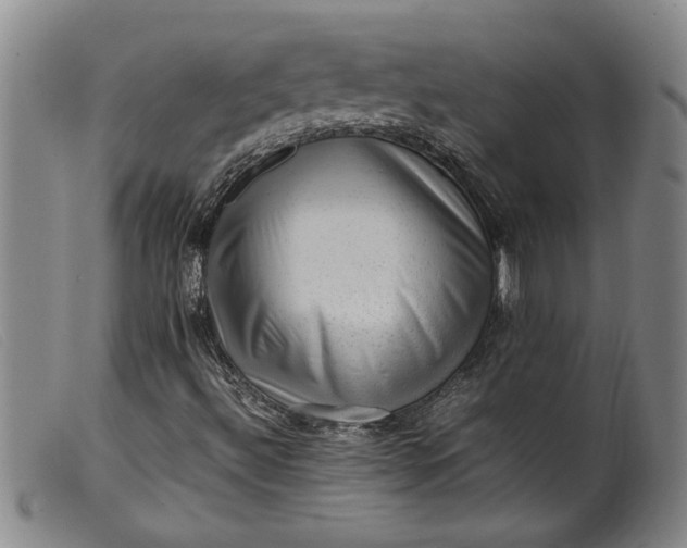 X0000099411492200805231551