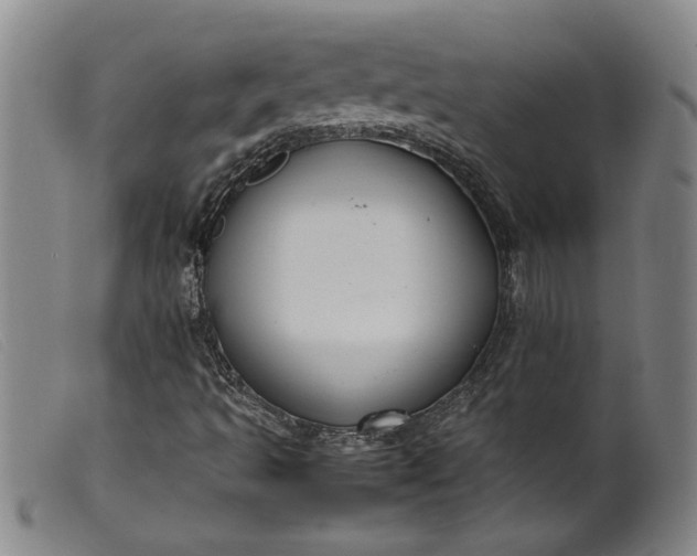 X0000099411493200805231551