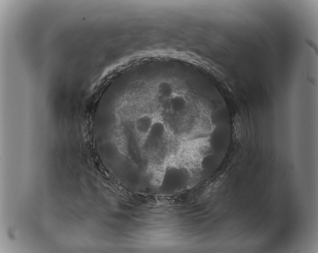 X0000099411494200805231551