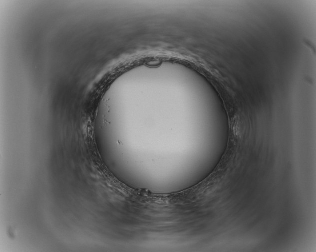 X0000099411495200805231551