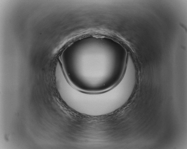 X0000099411496200805231551