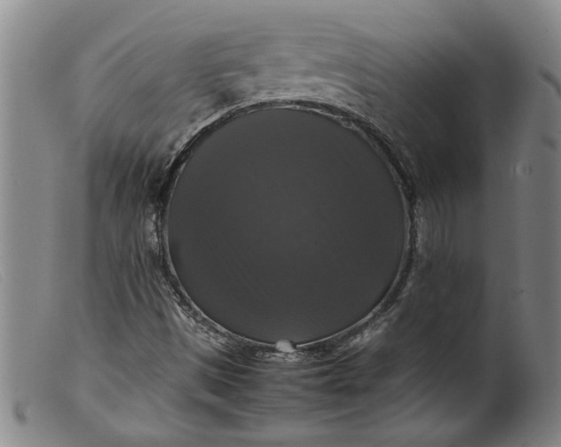 X0000099411497200805231551