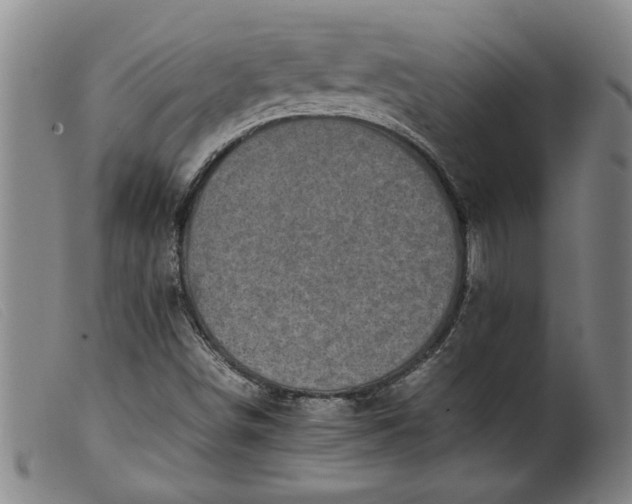 X0000099411498200805231551