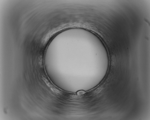 X0000099411499200805231551