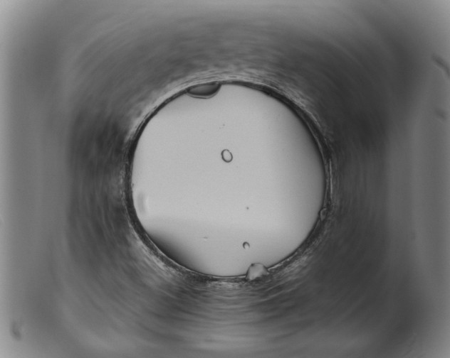 X0000099411500200805231551