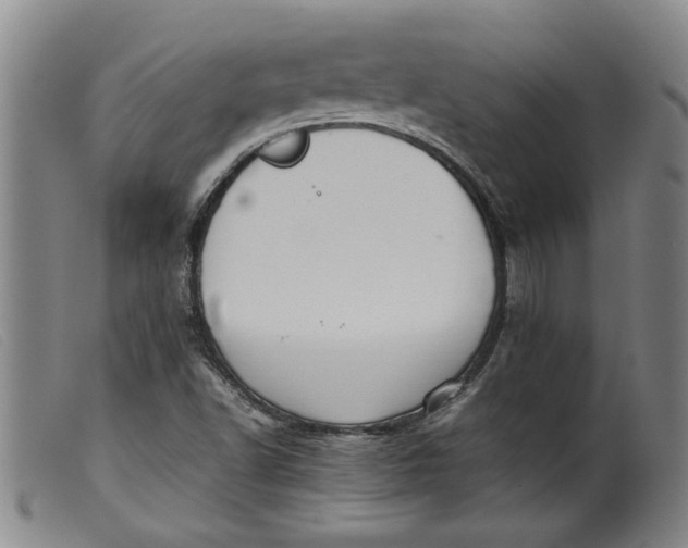 X0000099411502200805231551