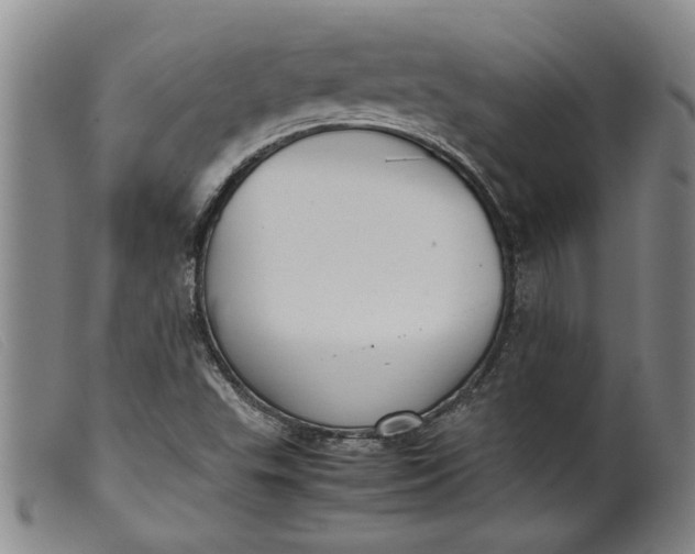 X0000099411503200805231551