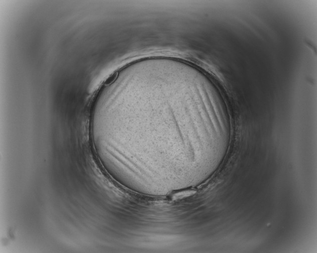 X0000099411504200805231551