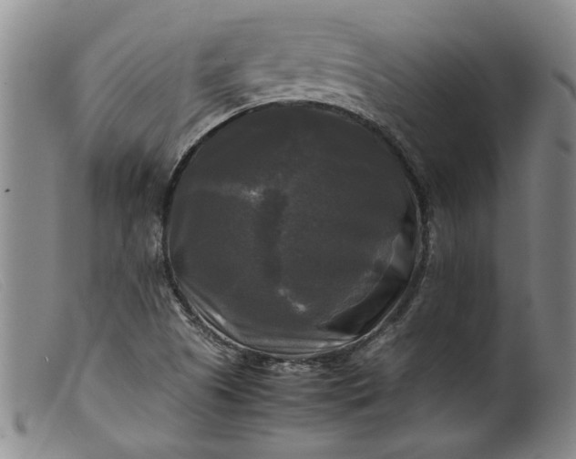 X0000099411505200805231551