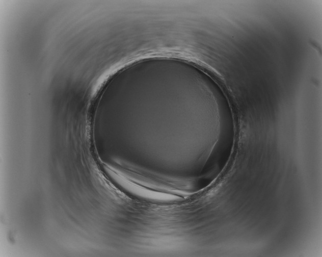 X0000099411506200805231551