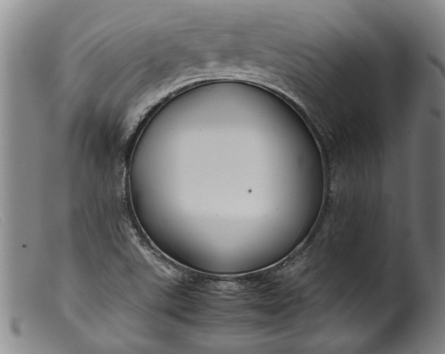 X0000099411507200805231551