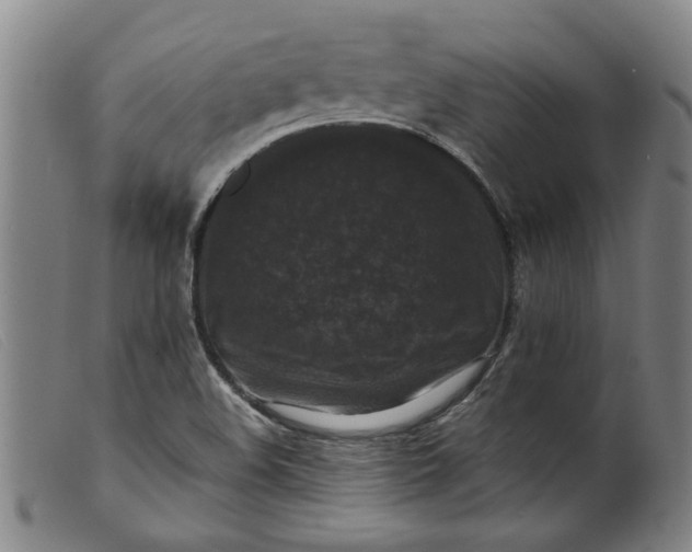 X0000099411508200805231551