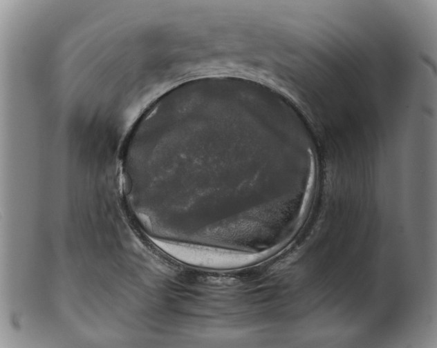 X0000099411509200805231551