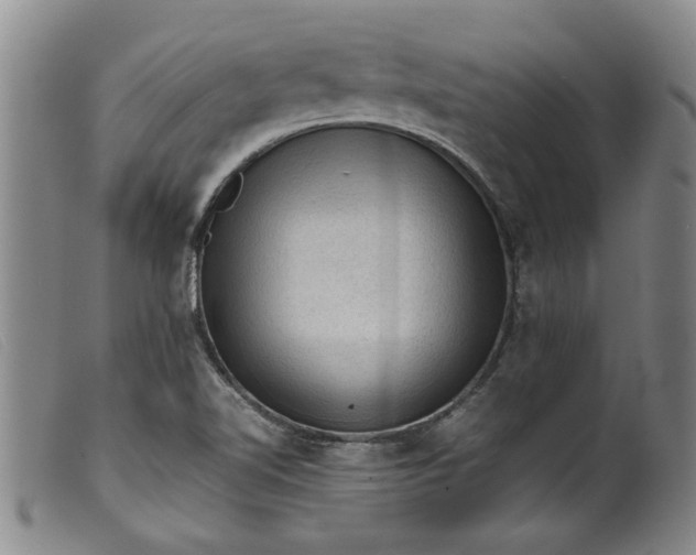 X0000099411510200805231551