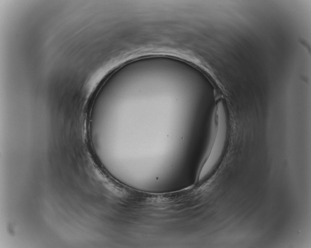 X0000099411511200805231551