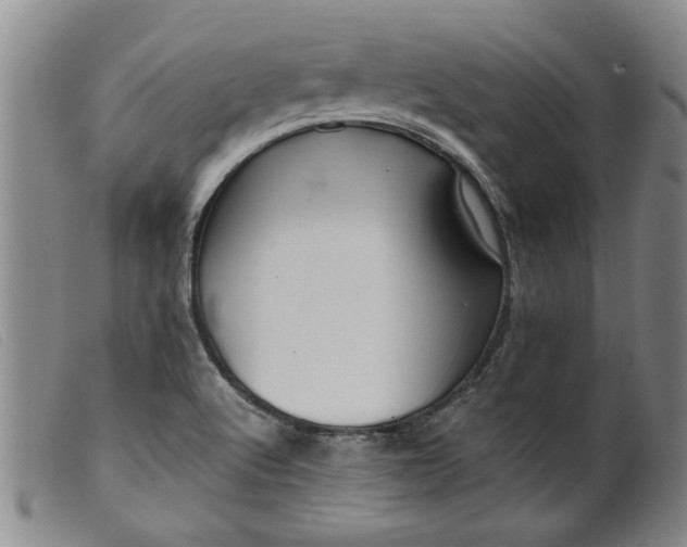 X0000099411512200805231551