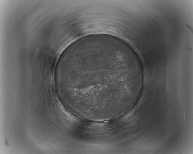 X0000099411513200805231551