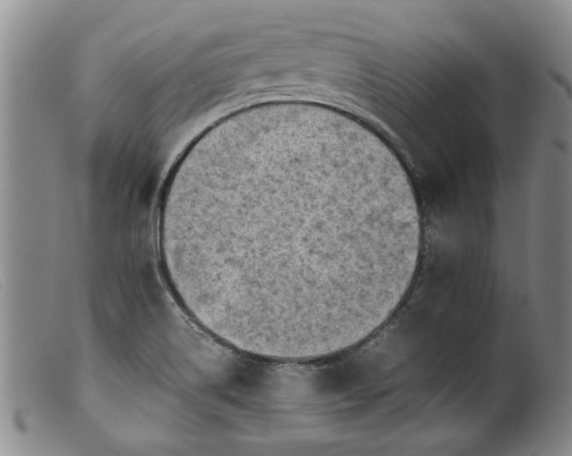 X0000099411514200805231551