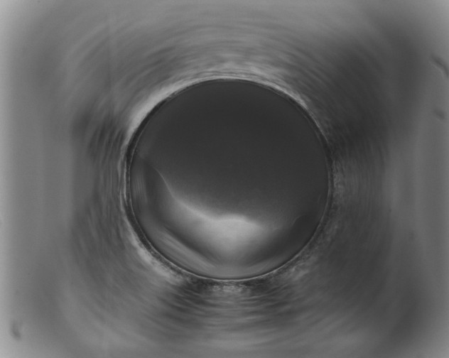 X0000099411515200805231551