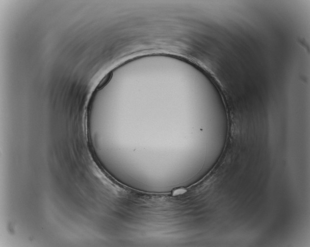 X0000099411516200805231551