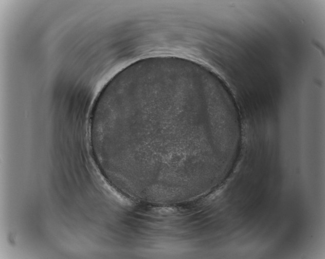 X0000099411517200805231551