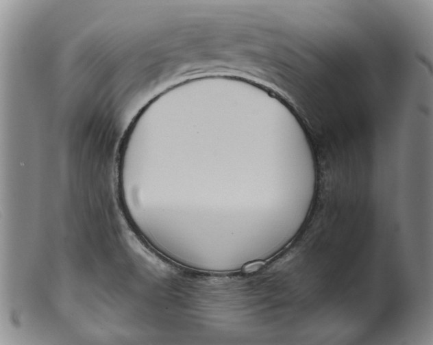 X0000099411518200805231551