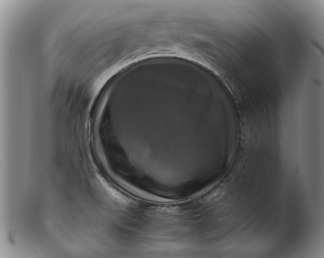 X0000099411519200805231551