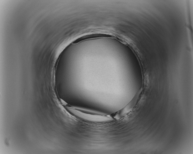 X0000099411520200805231551