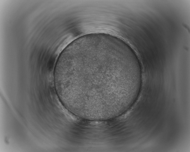 X0000099411521200805231551