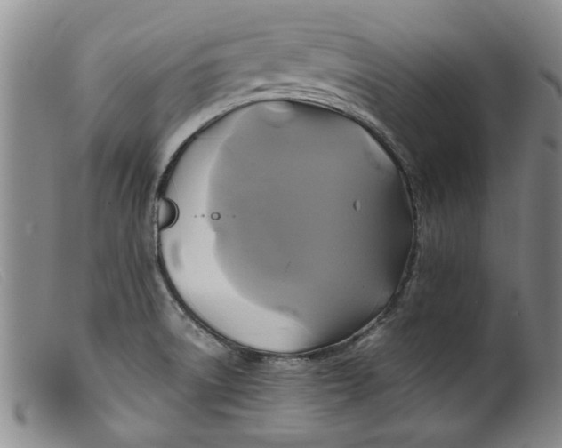 X0000099411522200805231551