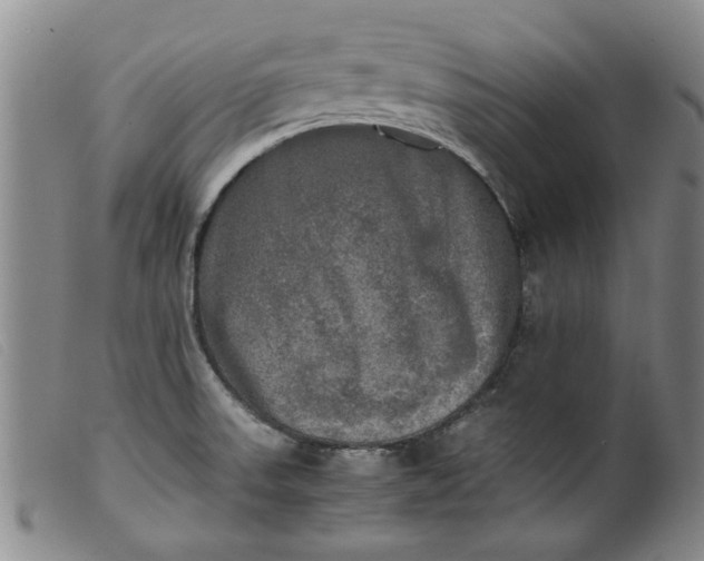 X0000099411523200805231551