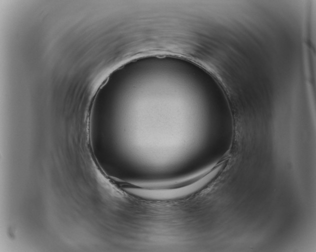 X0000099411524200805231551